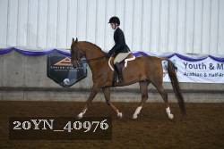 20YN_40976 thumbnail
