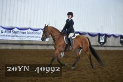 20YN_40992 thumbnail