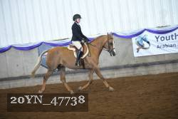 20YN_47738 thumbnail