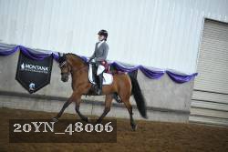 20YN_48006 thumbnail