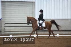 20YN_19287 thumbnail