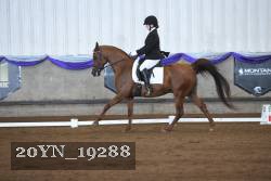 20YN_19288 thumbnail