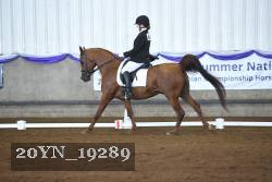 20YN_19289 thumbnail