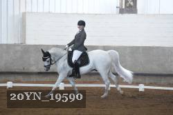 20YN_19590 thumbnail
