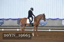 20YN_19665 thumbnail