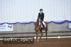 20YN_19671 thumbnail