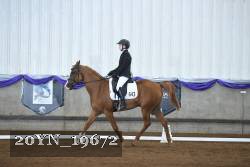 20YN_19672 thumbnail