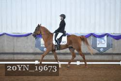 20YN_19673 thumbnail
