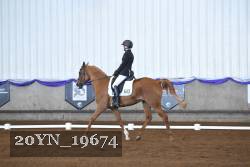20YN_19674 thumbnail