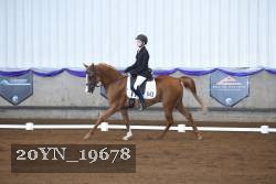 20YN_19678 thumbnail