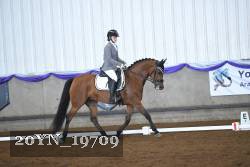 20YN_19709 thumbnail