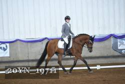 20YN_19711 thumbnail