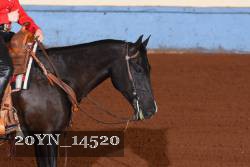 20YN_14520 thumbnail