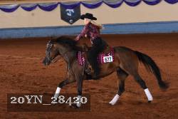 20YN_28420 thumbnail