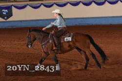 20YN_28431 thumbnail