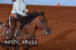 20YN_28433 thumbnail