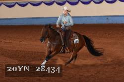 20YN_28434 thumbnail