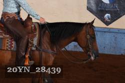 20YN_28439 thumbnail