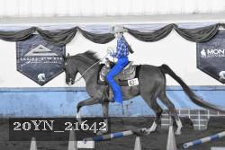 20YN_21642 thumbnail