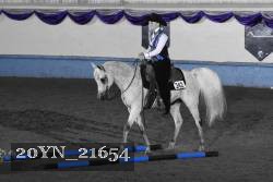 20YN_21654 thumbnail