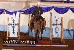20YN_21699 thumbnail