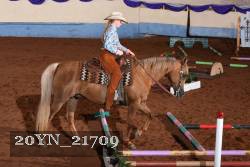 20YN_21709 thumbnail