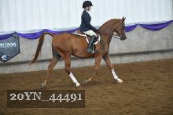 20YN_44491 thumbnail