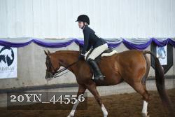 20YN_44556 thumbnail