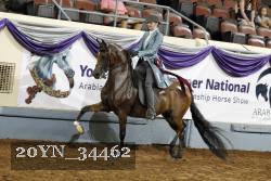 20YN_34462 thumbnail