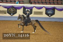 20YN_14116 thumbnail