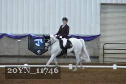 20YN_11746 thumbnail