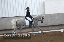 20YN_11780 thumbnail