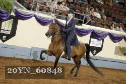 20YN_60848 thumbnail