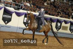 20YN_60849 thumbnail