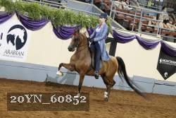 20YN_60852 thumbnail