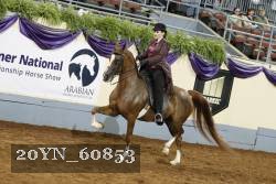 20YN_60853 thumbnail