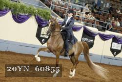 20YN_60855 thumbnail