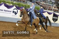 20YN_60862 thumbnail