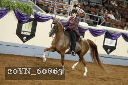 20YN_60863 thumbnail