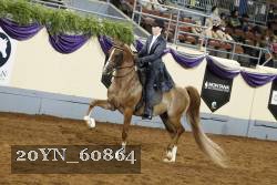 20YN_60864 thumbnail