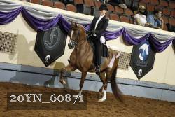 20YN_60871 thumbnail