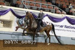 20YN_60877 thumbnail