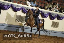 20YN_60881 thumbnail