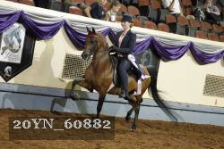 20YN_60882 thumbnail