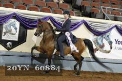 20YN_60884 thumbnail