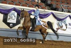 20YN_60889 thumbnail
