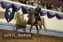 20YN_60890 thumbnail