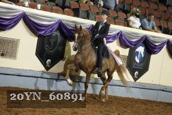 20YN_60891 thumbnail