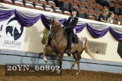 20YN_60892 thumbnail