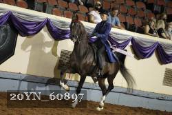 20YN_60897 thumbnail